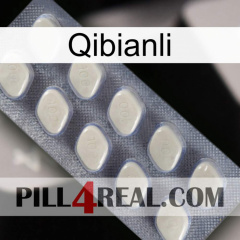 Qibianli 08